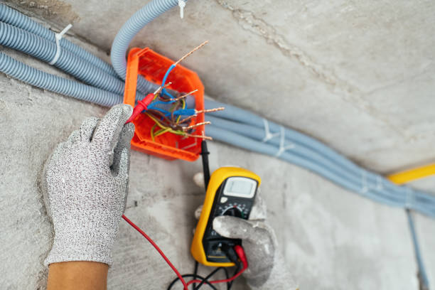 Best Electric Panel Repair  in Clare, MI